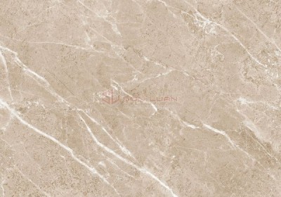 Gạch Ốp Lát APODIO 61222011